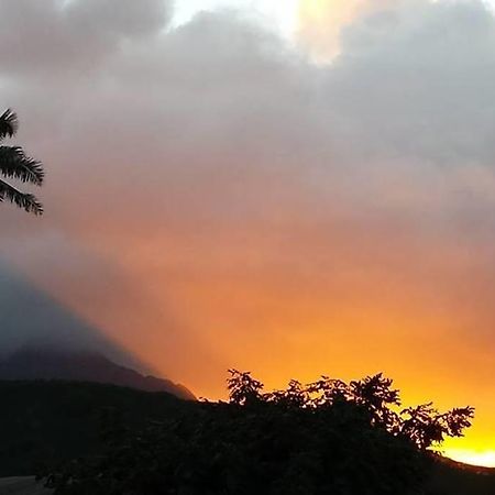 Paradise Palms B & B Kailua Extérieur photo