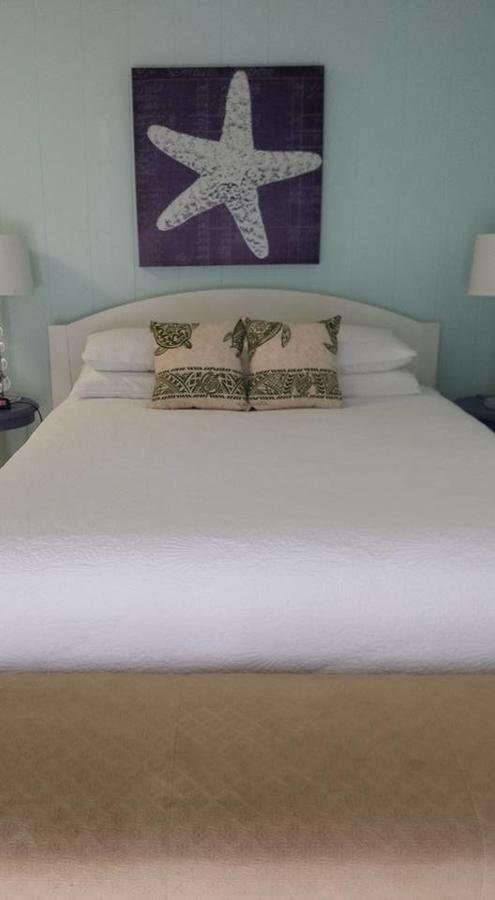 Paradise Palms B & B Kailua Extérieur photo