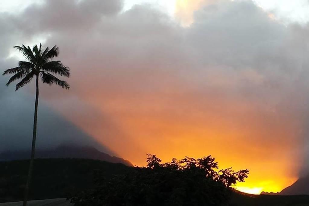 Paradise Palms B & B Kailua Extérieur photo