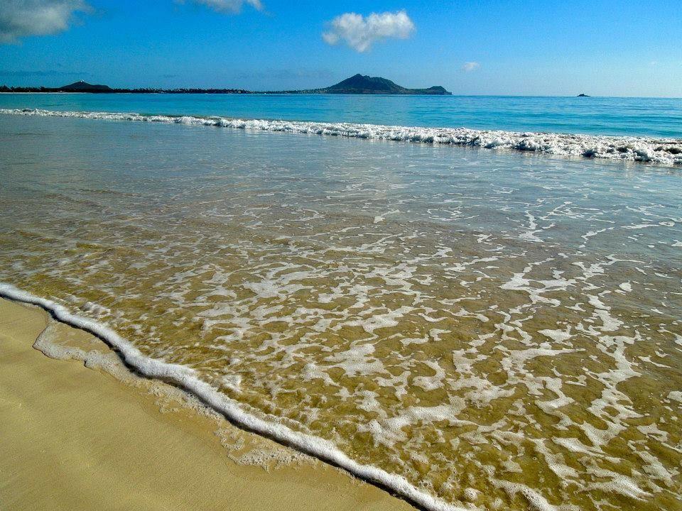 Paradise Palms B & B Kailua Extérieur photo